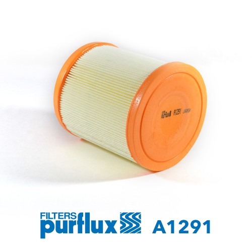 Filtro de aire - PURFLUX-A1291