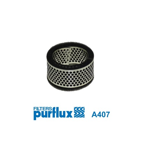 Filtro de aire - PURFLUX-A407